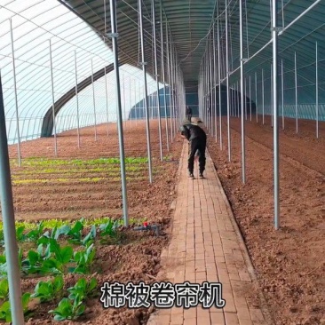 成套大棚蔬菜种植棚规格齐全有质保全国发货包建
