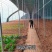 成套大棚蔬菜种植棚规格齐全有质保全国发货包建