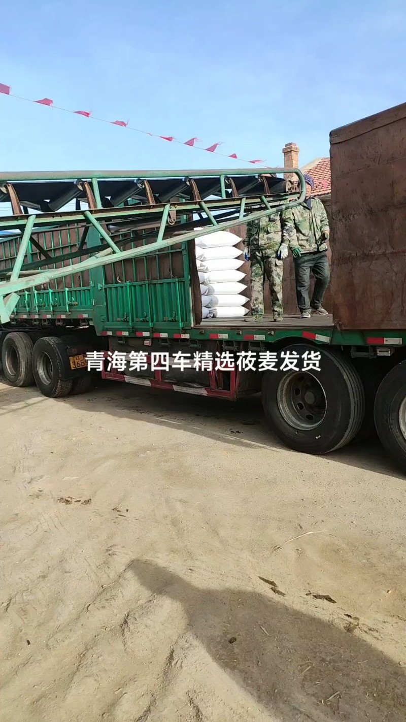 【国产】精选早花二号，磨面出面率高，国产货