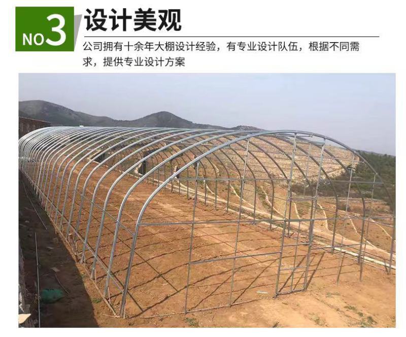 钢架大棚养殖棚蔬菜大棚基地专用棚全国发货包建