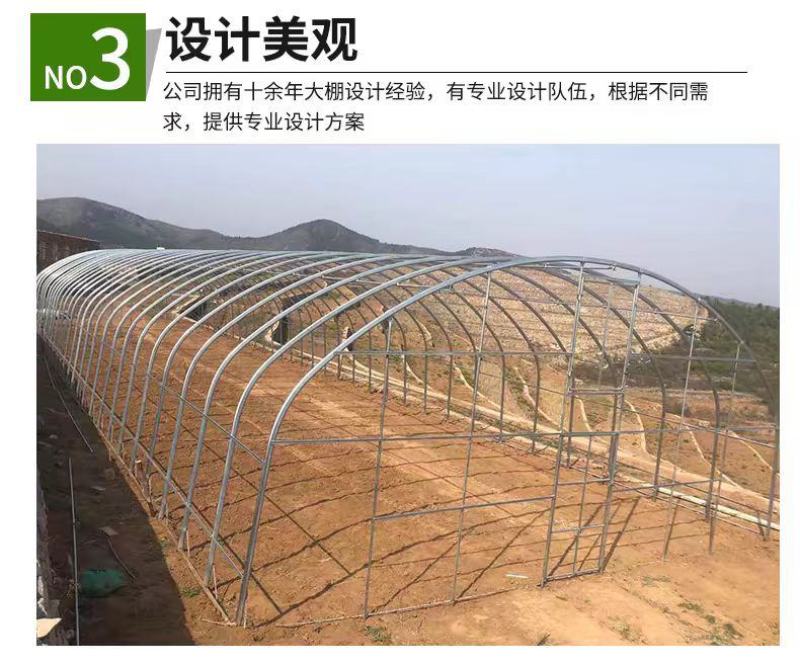专业生产花卉大棚暖棚连栋温室大棚包建