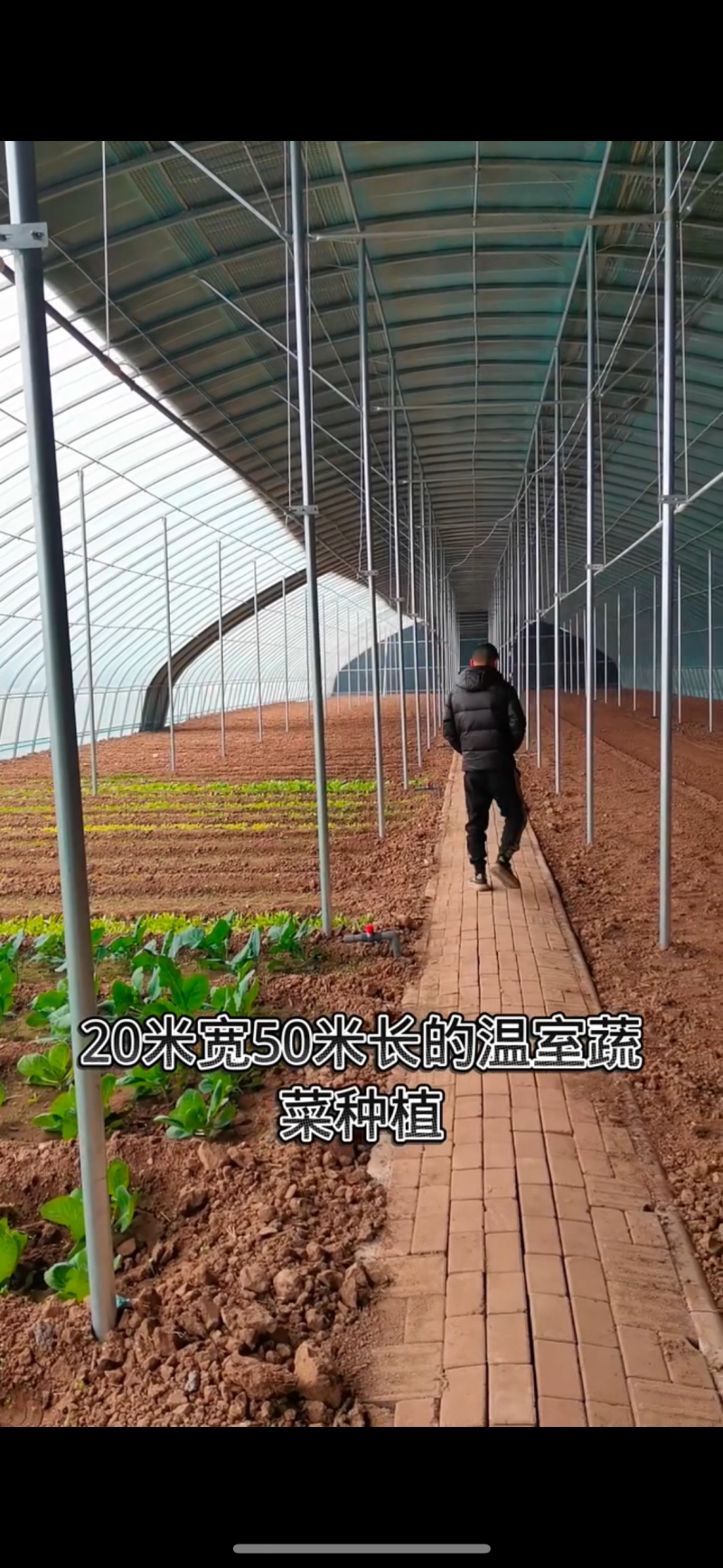 专业生产花卉大棚暖棚连栋温室大棚包建