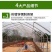 专业生产各种规养羊大棚养牛棚养猪大棚全国发货包建