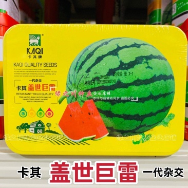 卡其盖世巨雷地雷西瓜种子含糖量高皮薄韧大果型圆形西瓜种籽
