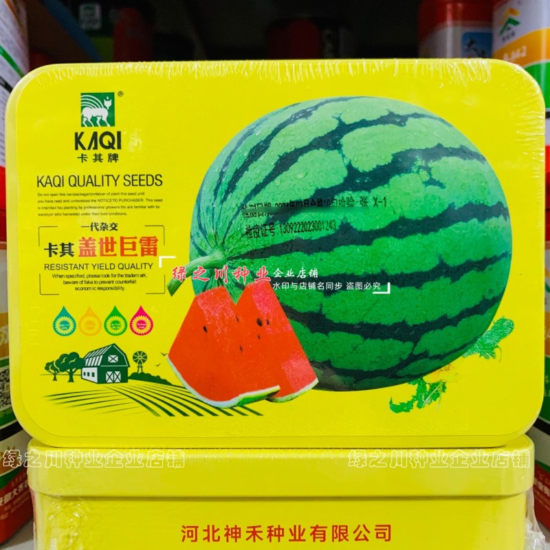 卡其盖世巨雷地雷西瓜种子含糖量高皮薄韧大果型圆形西瓜种籽