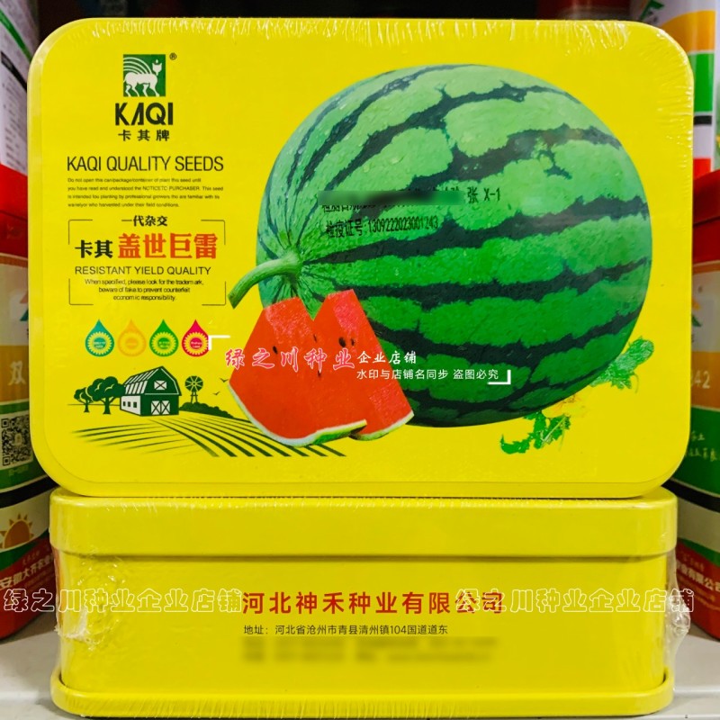 卡其盖世巨雷地雷西瓜种子含糖量高皮薄韧大果型圆形西瓜种籽