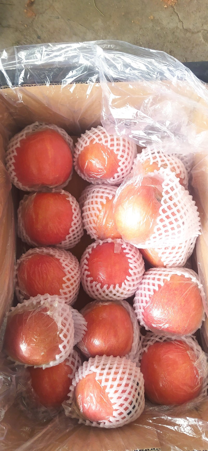 纸夹膜红富士