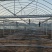 全套蔬菜种植大棚钢管型号齐全尺寸随意定制全国发货