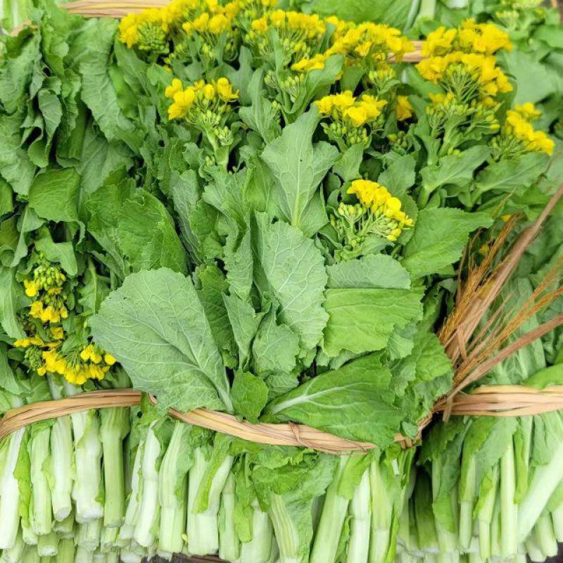 柳州万亩基地直供大白菜苔日供数万斤需要的老板请联系