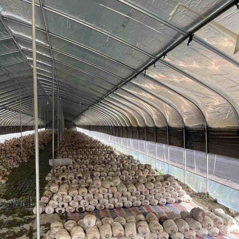 定做各种规格蔬菜种植专用大棚骨架养殖大棚全国发货
