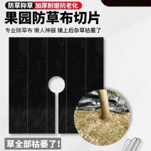 防草布除草布抗老化果园果树遮草盖草布农用园艺地布耐用透气