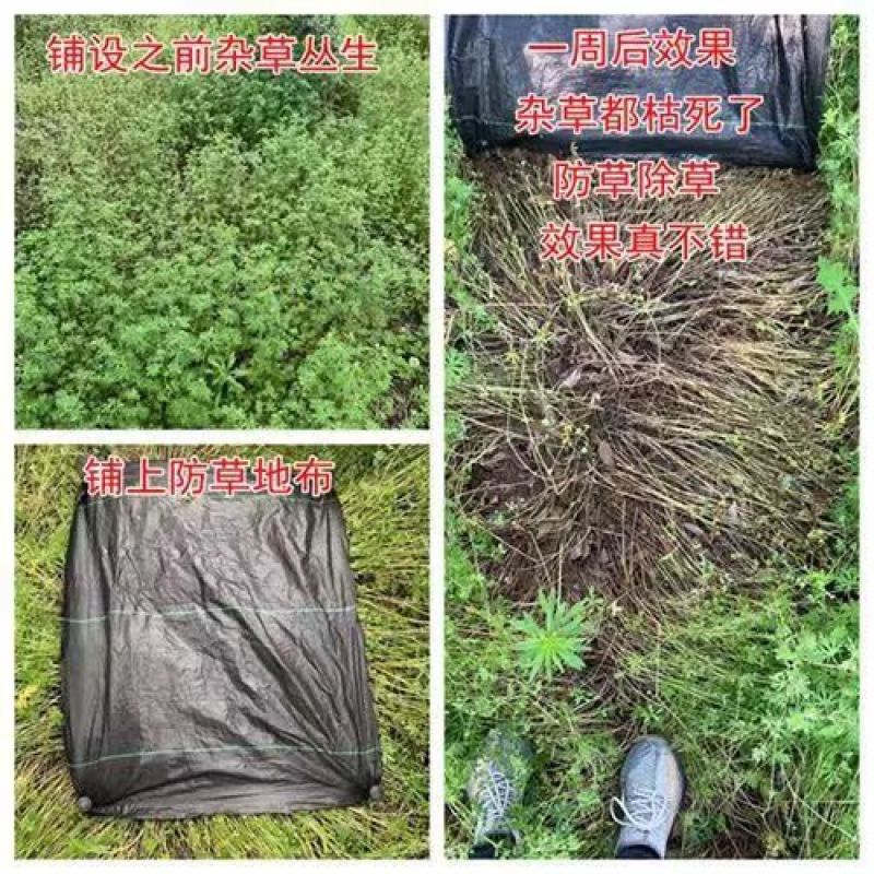 防草布除草布抗老化果园果树遮草盖草布农用园艺地布耐用透气