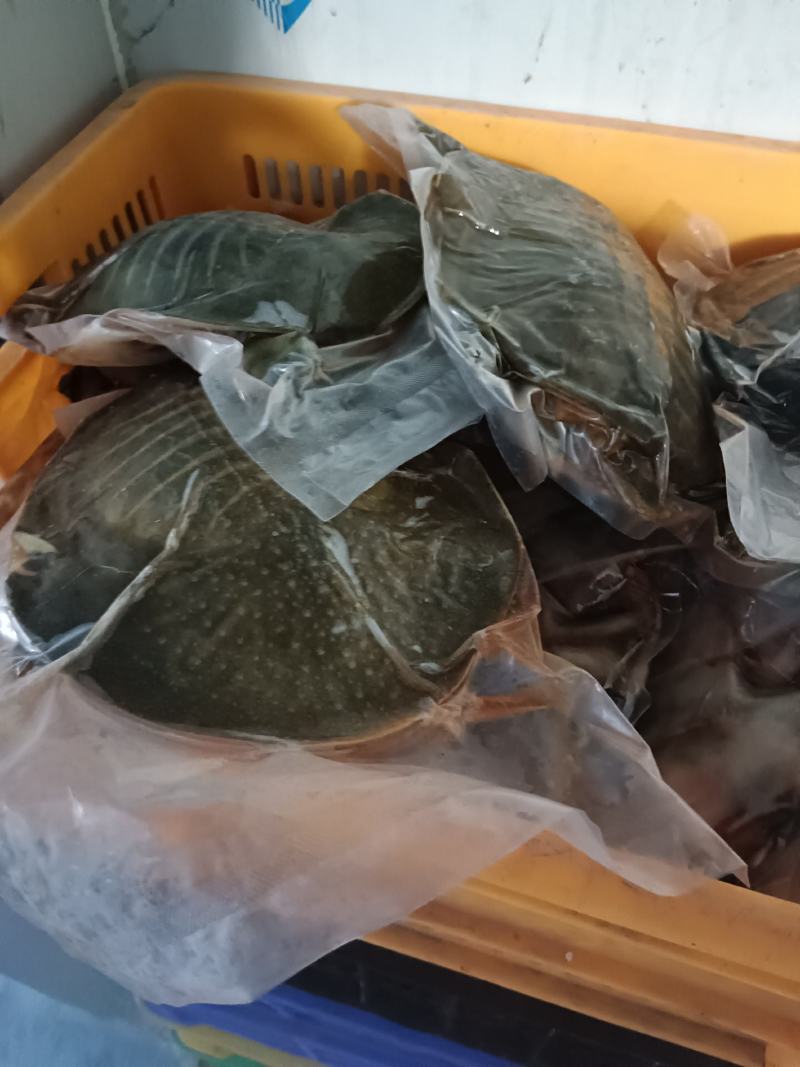 宰杀款甲鱼，大排档，卤甲鱼专用，真空包装，全国发货