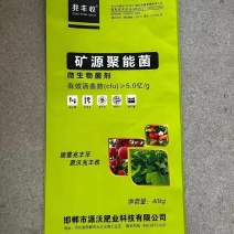 矿源聚能菌微生物菌剂有效活菌5亿菌邯郸肥料厂家直销