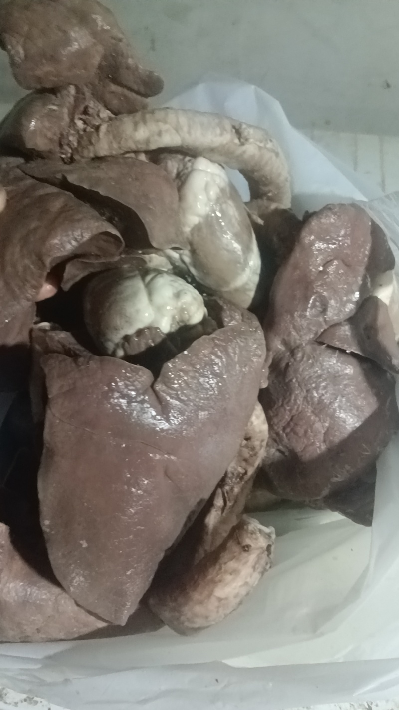 羊肺…羊杂汤羊杂全套加热即食羊肉真空加热