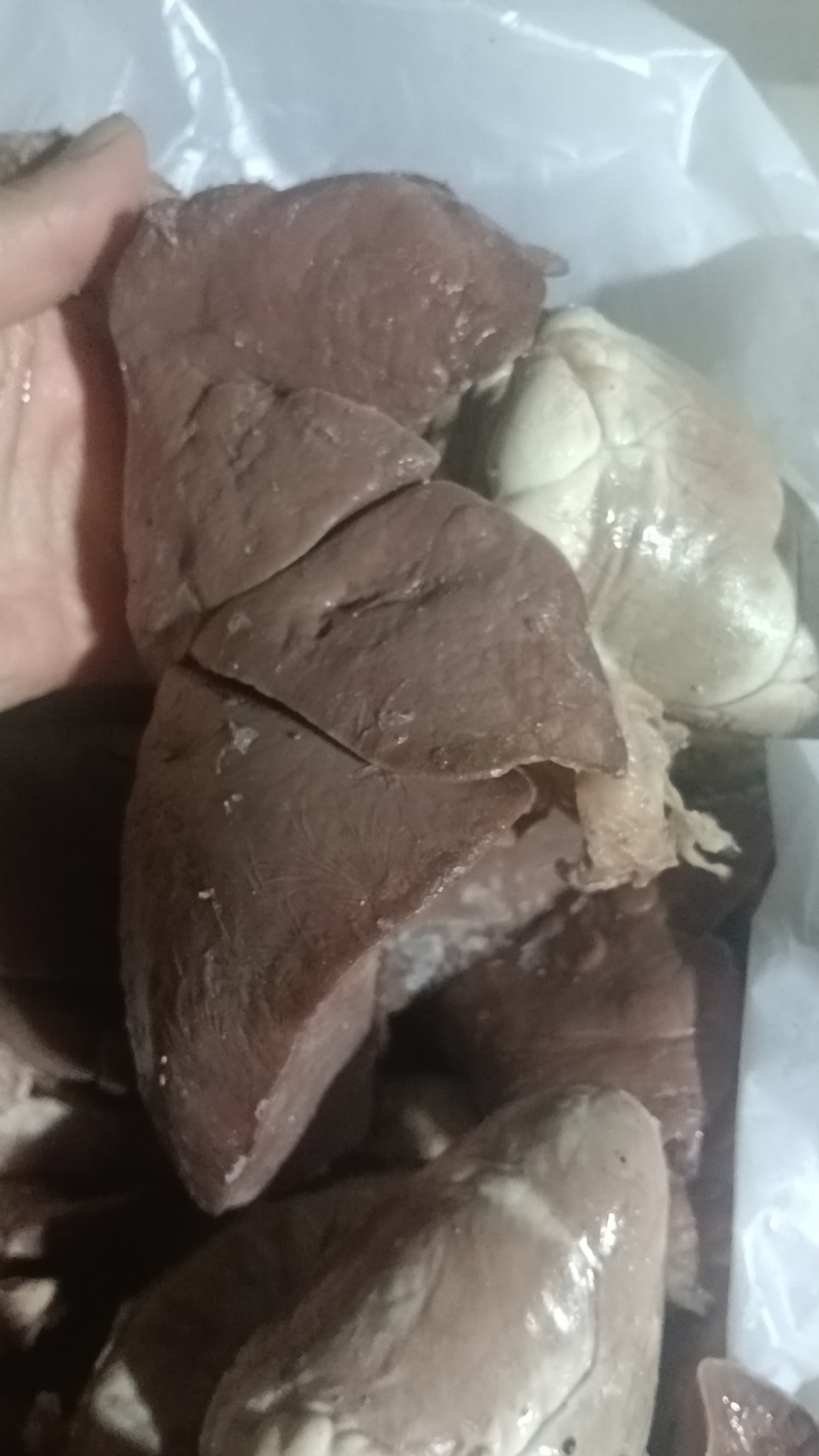 羊肺…羊杂汤羊杂全套加热即食羊肉真空加热