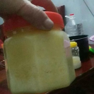 出售正宗土家蜂蜜，正宗土家蜂蜜