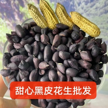 正宗云南黑皮花生甜心花生米