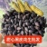 正宗云南黑皮花生甜心花生米