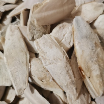 海螵蛸小海螵蛸泽润中药批发零售各种中药材