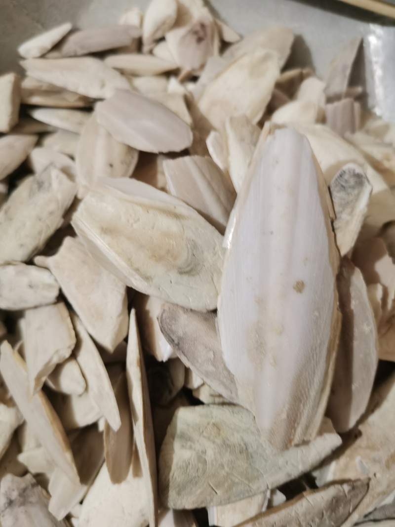 海螵蛸小海螵蛸泽润中药批发零售各种中药材