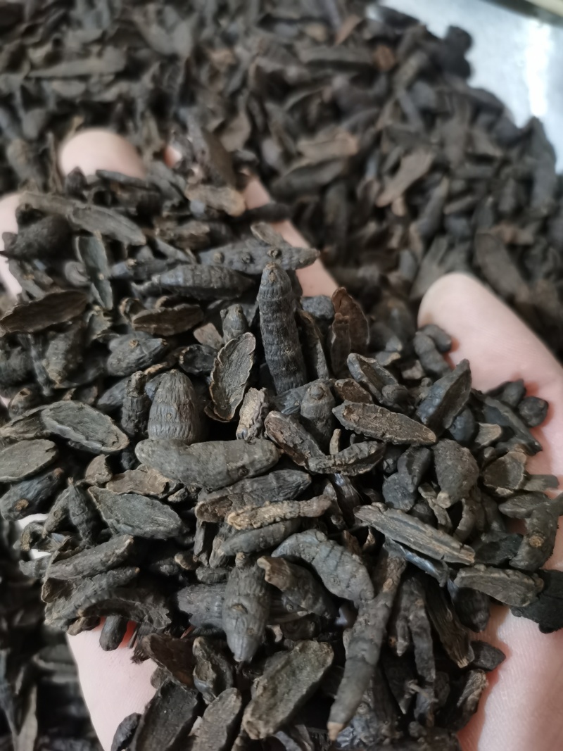 香附炙香附片泽润中药批发零售各种中药材