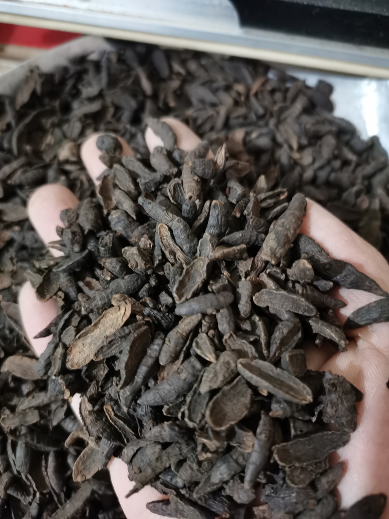 香附炙香附片泽润中药批发零售各种中药材