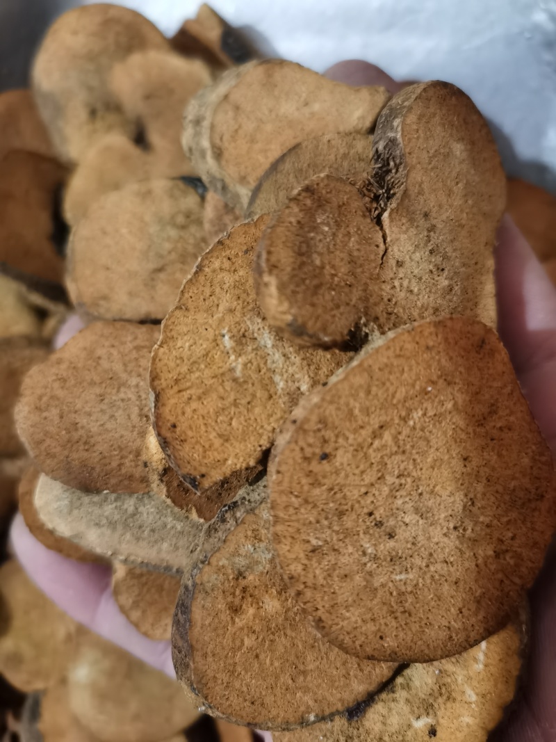 泽泻肤炒泽泻泽润中药批发零售各种中药材