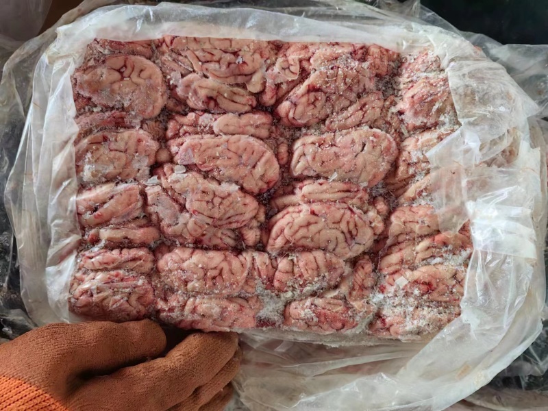 猪脑花，中猪，膘猪