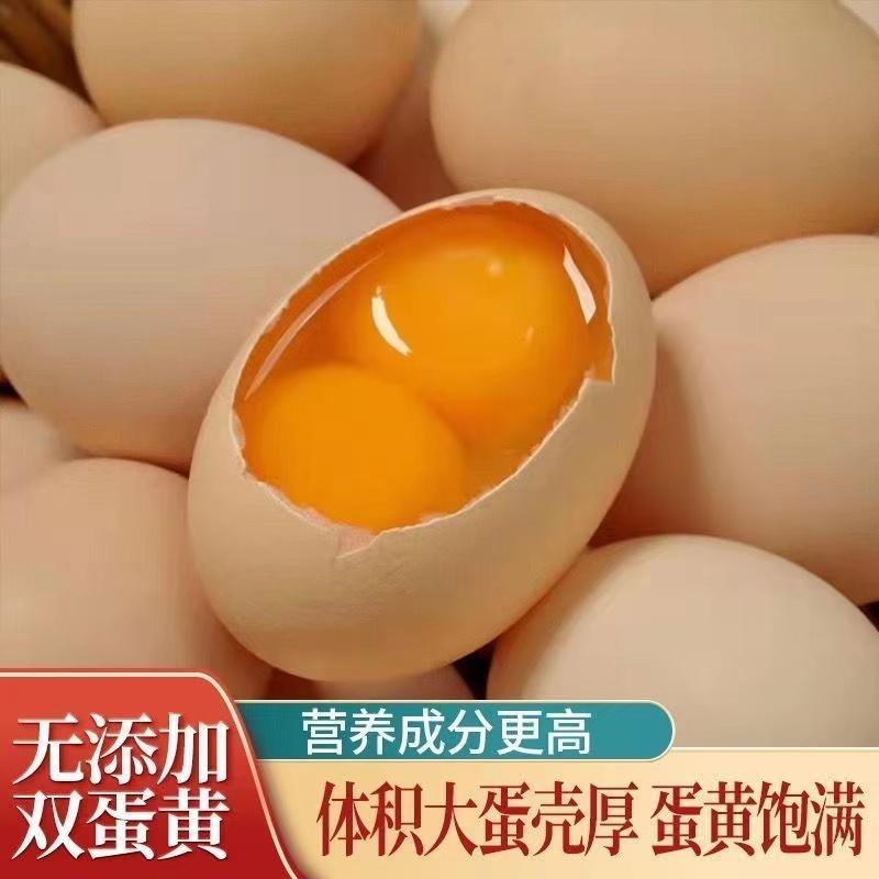 精品鸡蛋双黄鸡蛋货源充足量大从优质量保证欢迎咨询