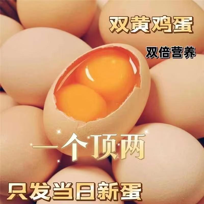 精品鸡蛋双黄鸡蛋货源充足量大从优质量保证欢迎咨询