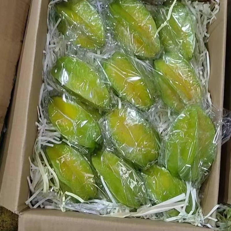 精品杨桃大量供应品质保证价格优惠欢迎咨询