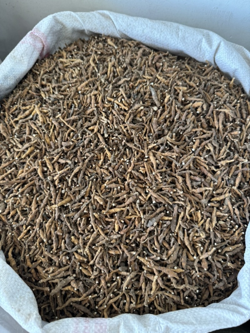 九节菖蒲，山东弘舜中药材批发零售，规格齐全！…………
