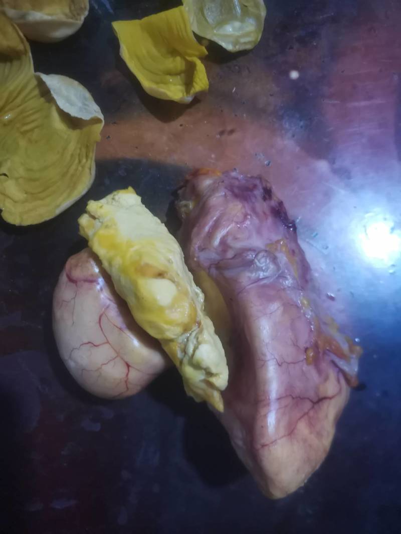 特级新鲜鸡宝