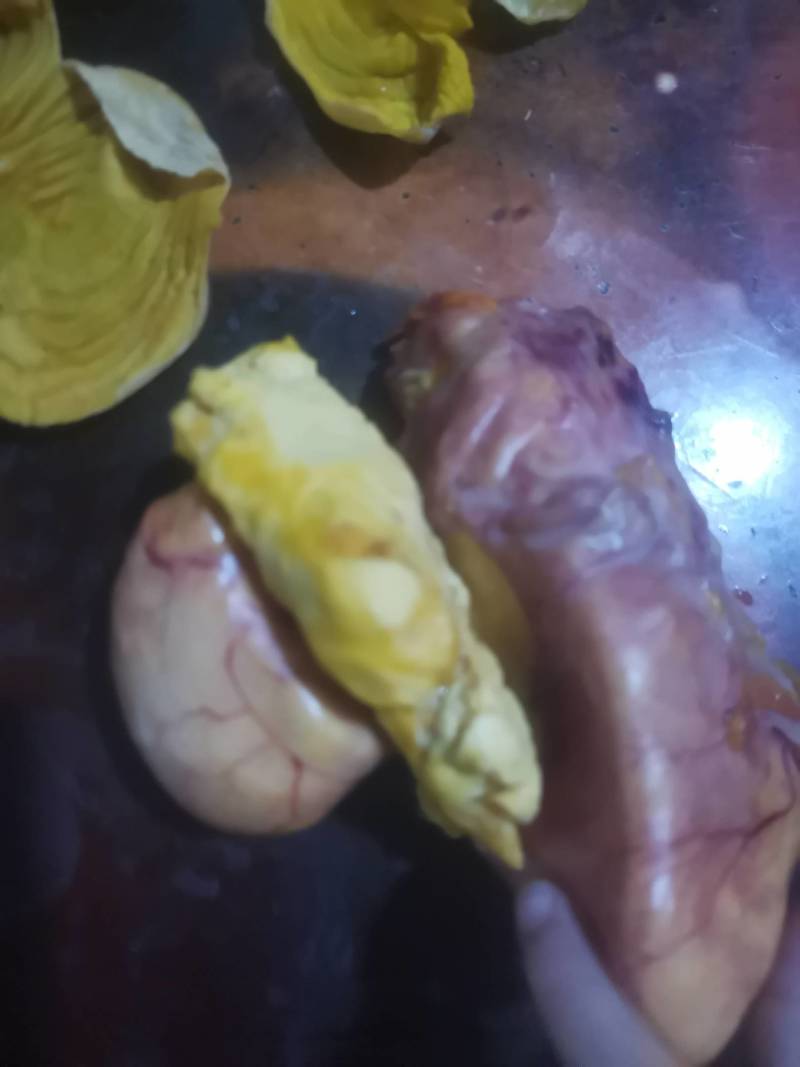 特级新鲜鸡宝