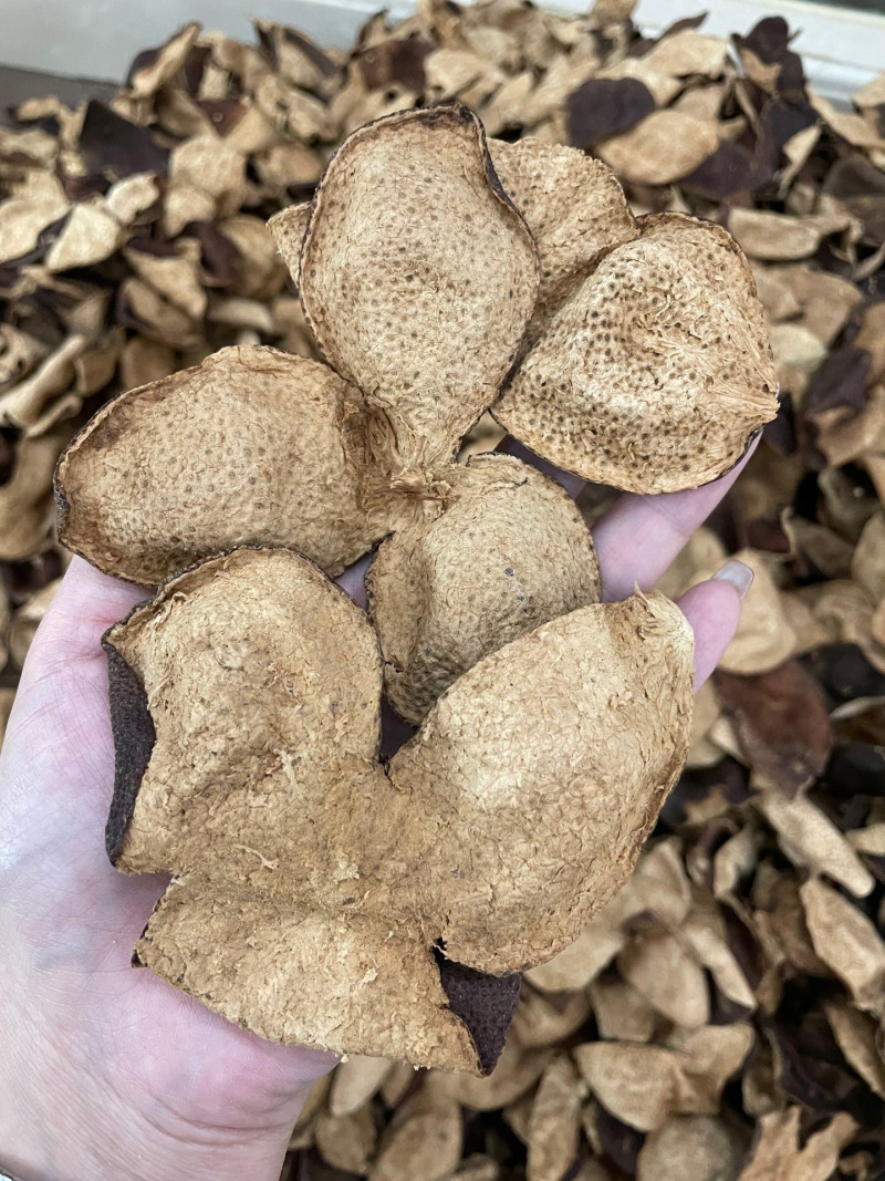 新宝堂陈皮各种年份都有