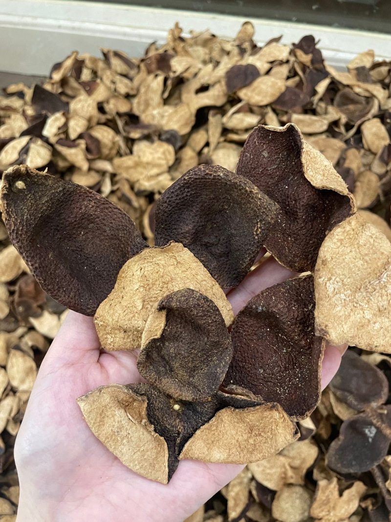 新宝堂陈皮各种年份都有