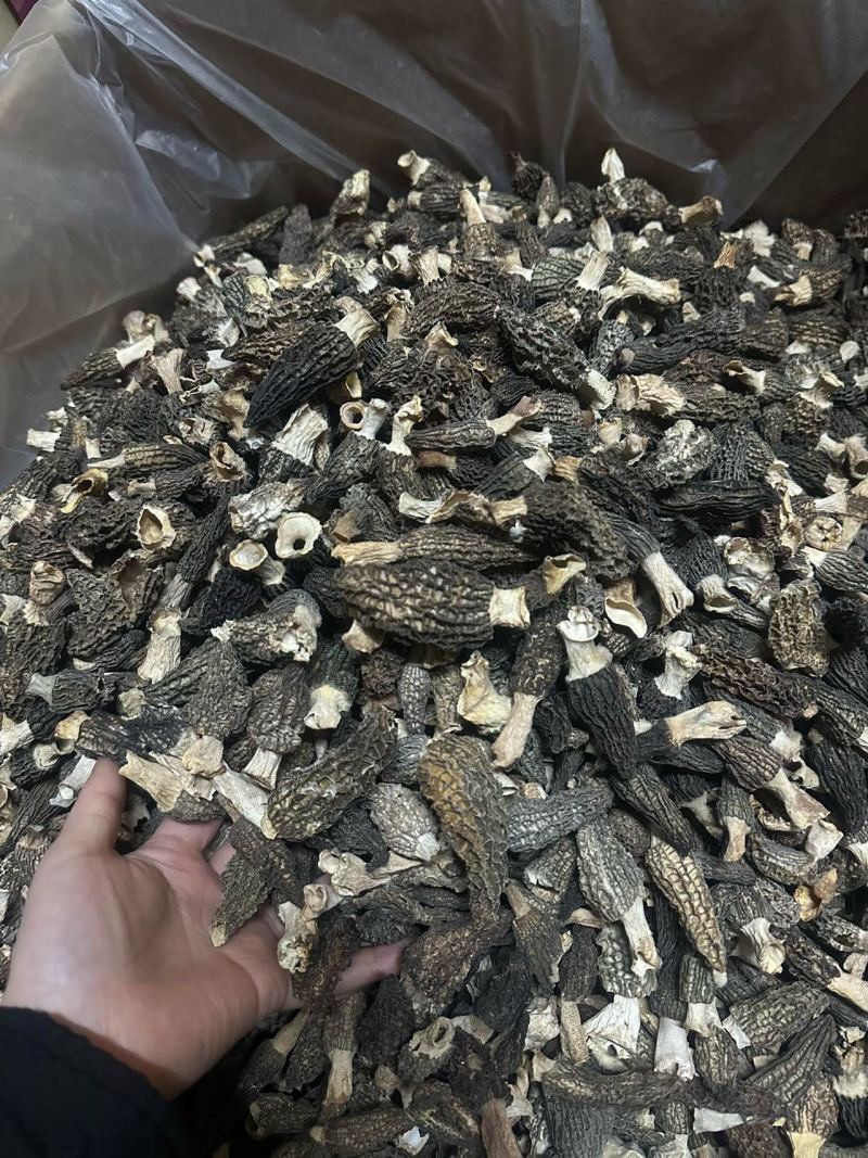 羊肚菌各种规格