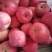 陕西宝鸡地区红富士