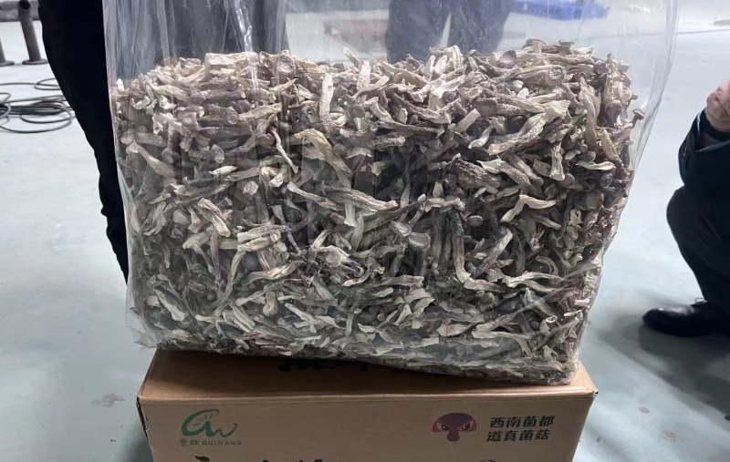 鹿茸菇批发干菌产地直销精品一手货源有量有价