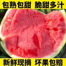 山东麒麟西瓜