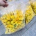 金花茶，茶花