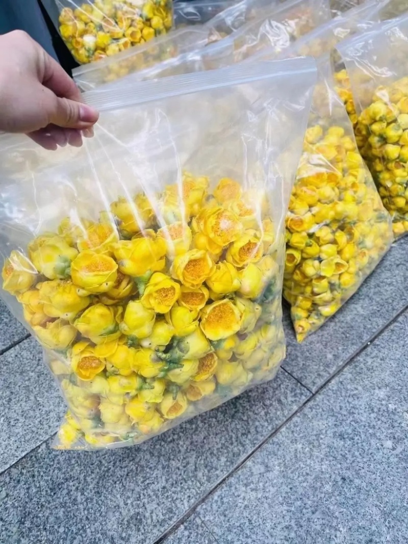 金花茶，茶花