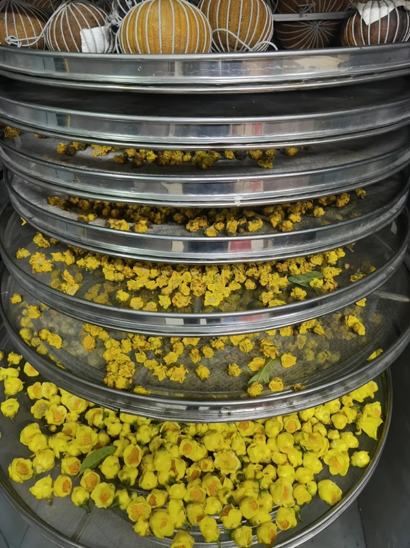 金花茶，茶花