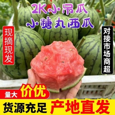 小吊瓜，小糖丸西瓜，小西瓜，全国直供商超，一手货源。