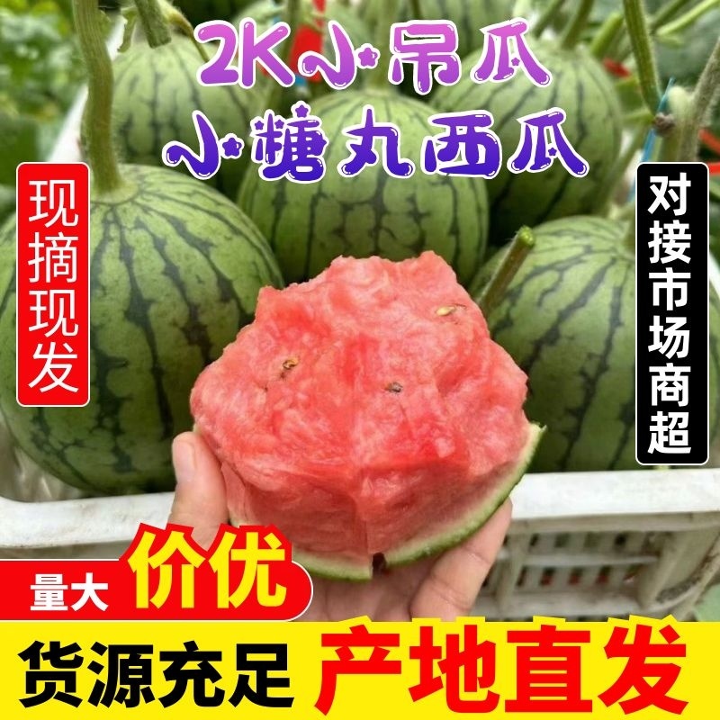小吊瓜，小糖丸西瓜，小西瓜，全国直供商超，一手货源。