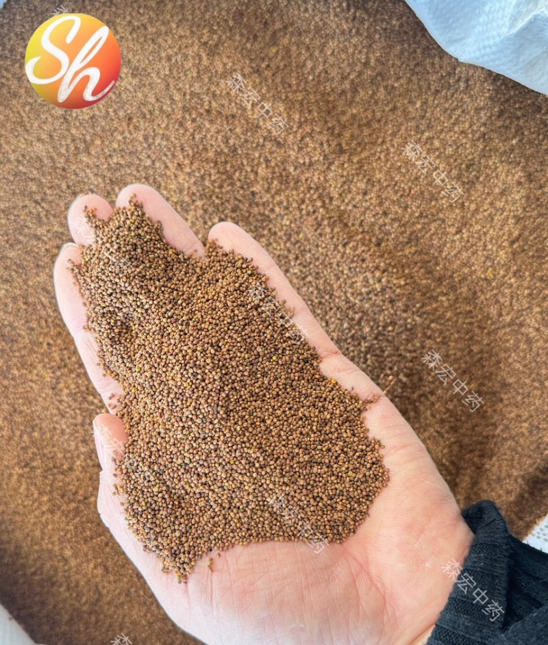菟丝子森宏中药材批发内蒙水洗菟丝子货源充足量大从优