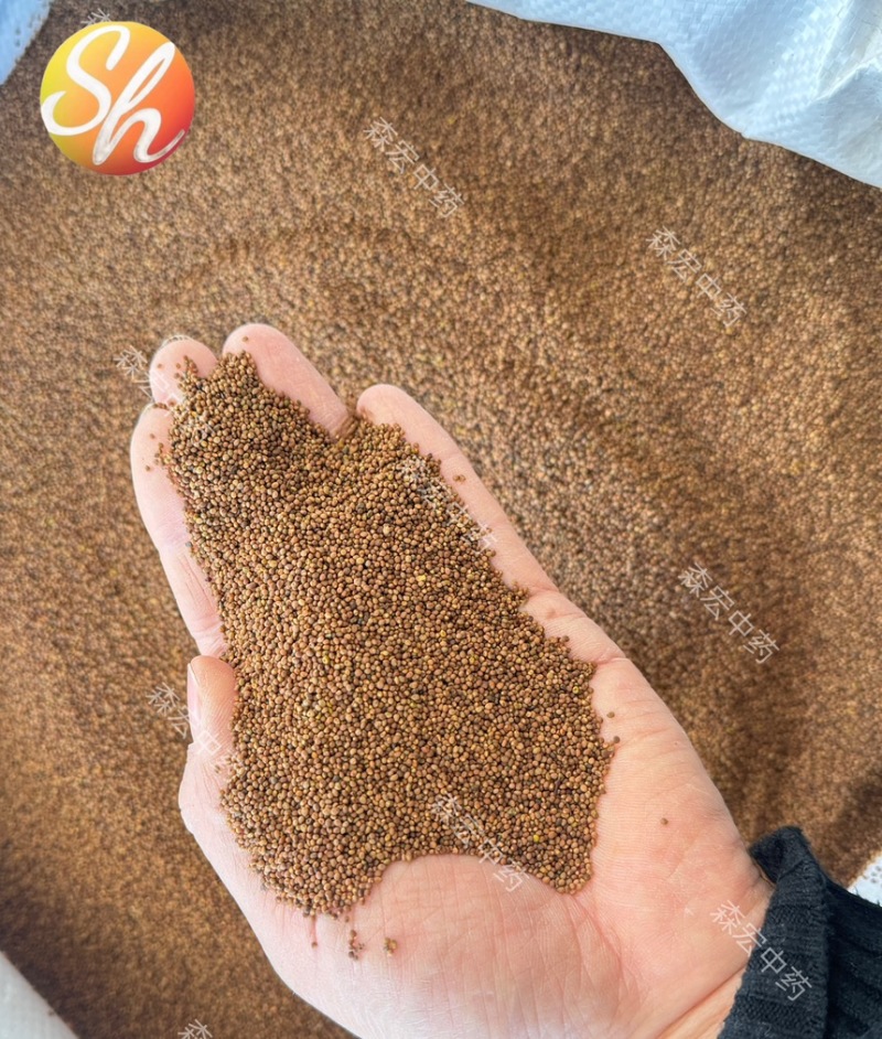 菟丝子森宏中药材批发内蒙水洗菟丝子货源充足量大从优