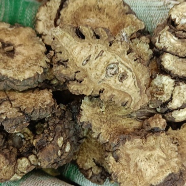 川芎今年新货实物拍摄无硫磺自然晒干有需要的老板放下单