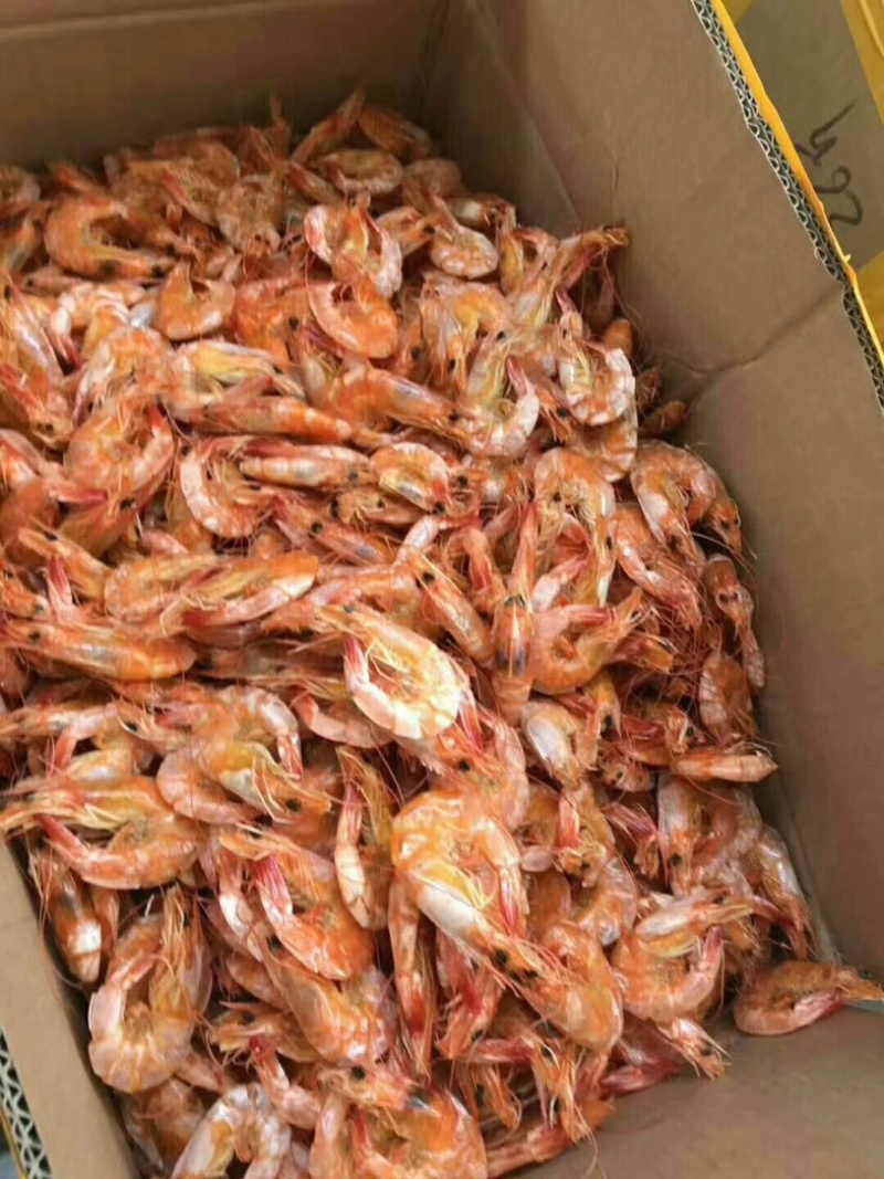 各种规格烤虾对虾、一手货源、大量批发、电商对接
